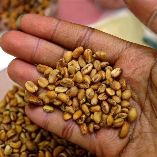 HABESHA SNACKS